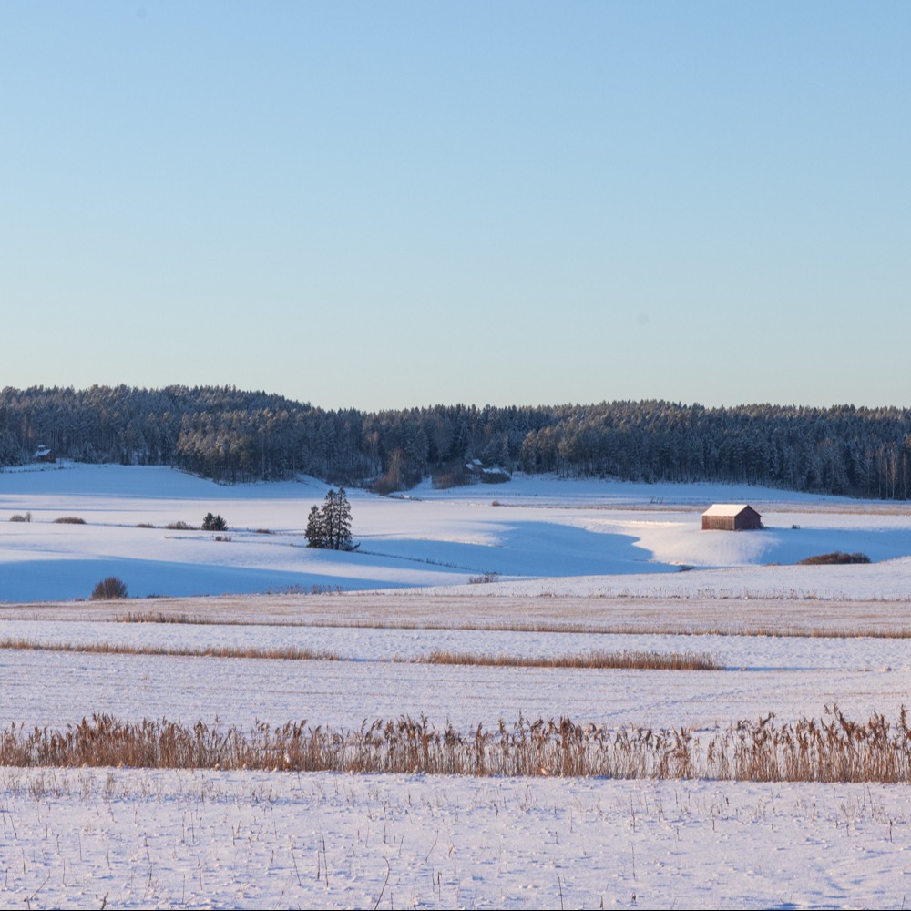 Raisio_talvinen_viljapelto-8-1